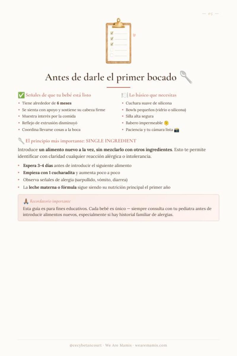 Vista previa página de preparación